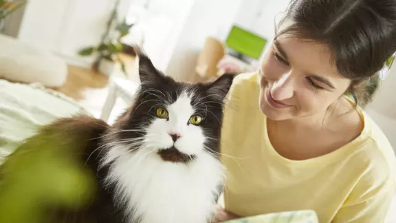 Junge Frau im Wohnzimmer streichelt ihre kranke Katze.