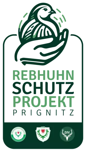 Rebhuhnschutzprojekt Pritzwalk