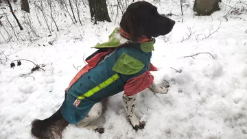 Jagdhaftpflichtversicherung