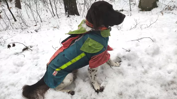 Jagdhaftpflichtversicherung