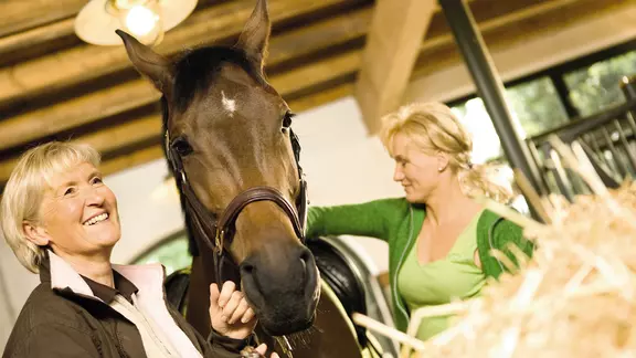 Schutz für Ihr wertvolles Tier