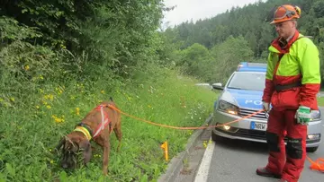 Wildunfallzeichen gespendet