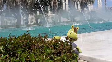 Dein Tier. Deine Liebe. Deine Tierversicherung