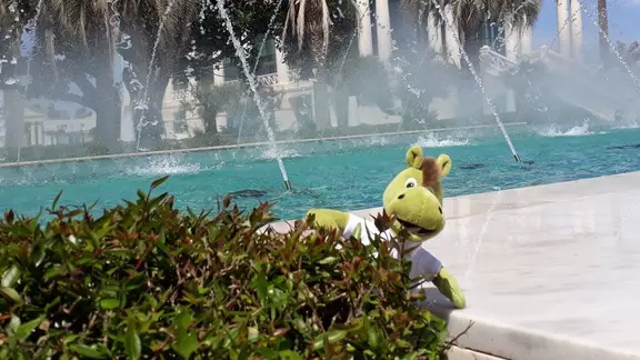 Dein Tier. Deine Liebe. Deine Tierversicherung