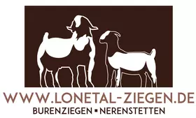 Lonetal Ziegen