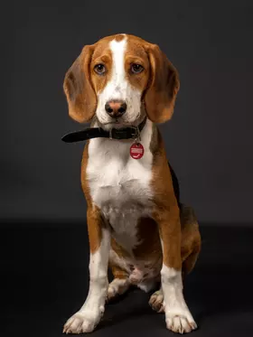 Gunnar von der Rheinallee