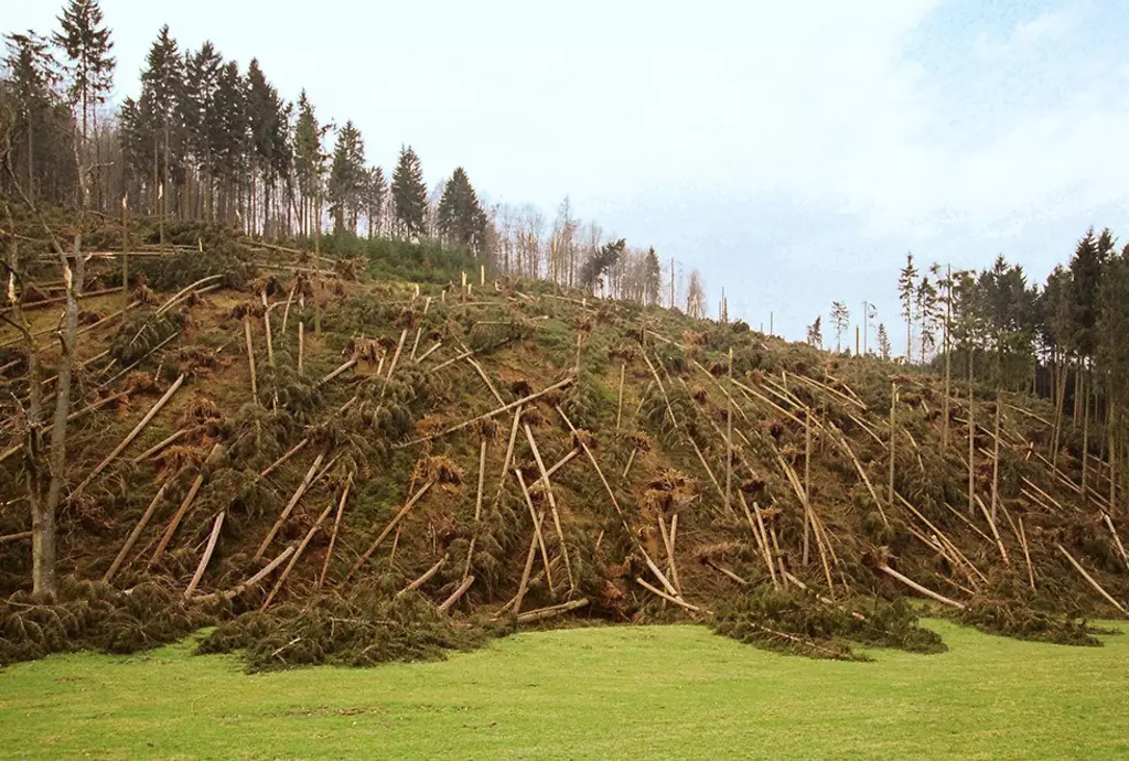 Orkan Kyrill vernichtet Wälder 2007