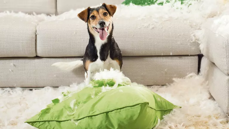 Ich kümmere mich: LVM-Versicherungsagentur Doreen Pechta