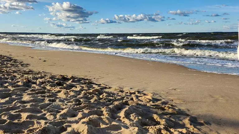 Wir kümmern uns: LVM-Versicherungsagentur Michael Kammer