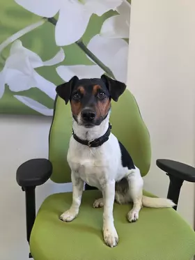 Keks Helfer Agentursecurity