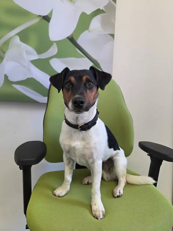 Keks Helfer Agentursecurity