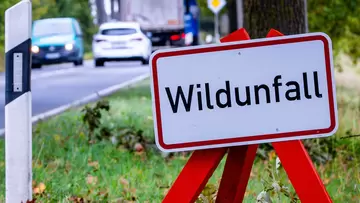 Am Straßenrand einer befahrenen Straße steht ein Warnschild mit der Aufschrift "Wildunfall". Herbstzeit ist Wildwechsel-Zeit. Der richtige Versicherungsschutz hilft, wenn ein Unfall passiert. (Foto: picture alliance/dpa/Jens Büttner)