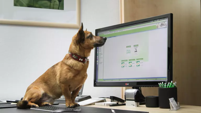 Ich kümmere mich: LVM-Versicherungsagentur Roman Lauterbach