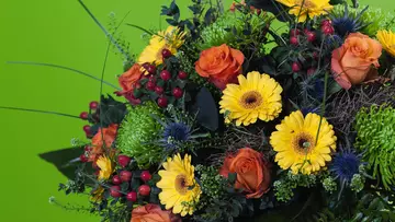 10 Jahre LVM-Versicherungsagentur Carsten Arentz in Brakel