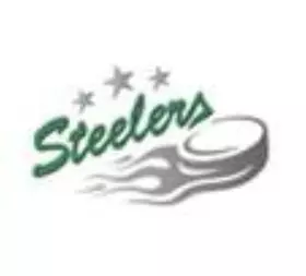 Bietigheimer Steelers