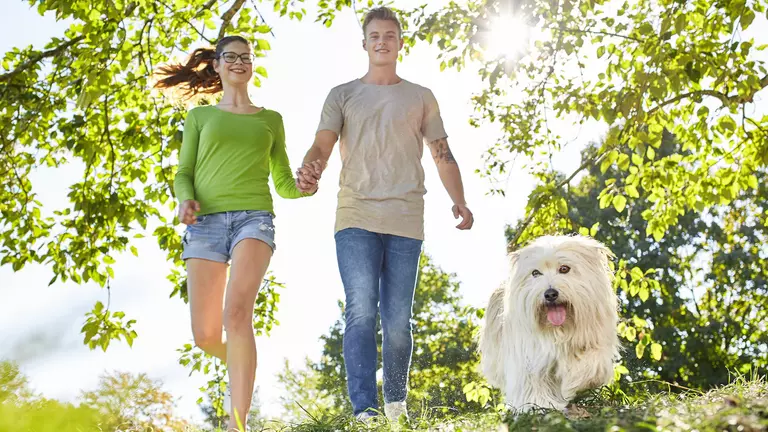 Ich kümmere mich: LVM-Versicherungsagentur Stefan Schultz