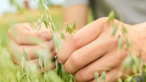 Landwirtschaftsabend 2025