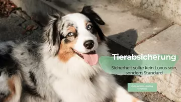 Sicherheit sollte kein Luxus sein sondern Standard