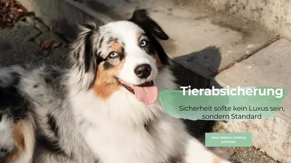 Sicherheit sollte kein Luxus sein sondern Standard