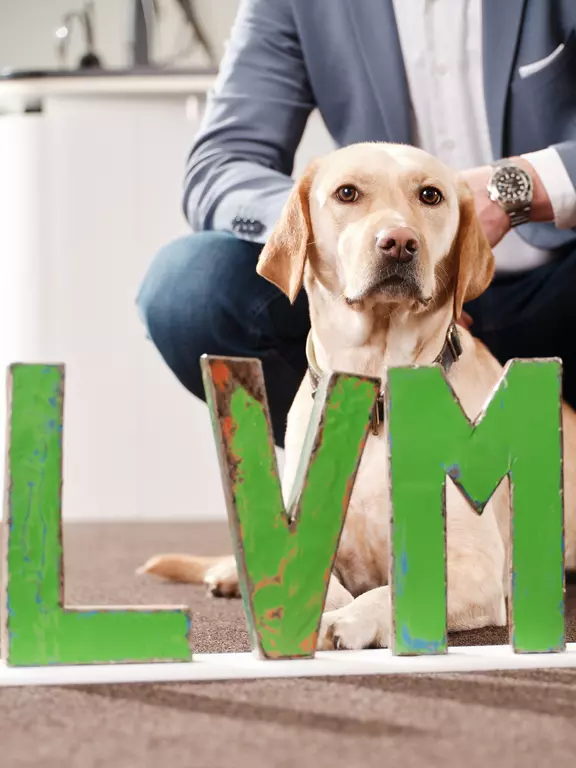 Bürohund Edda