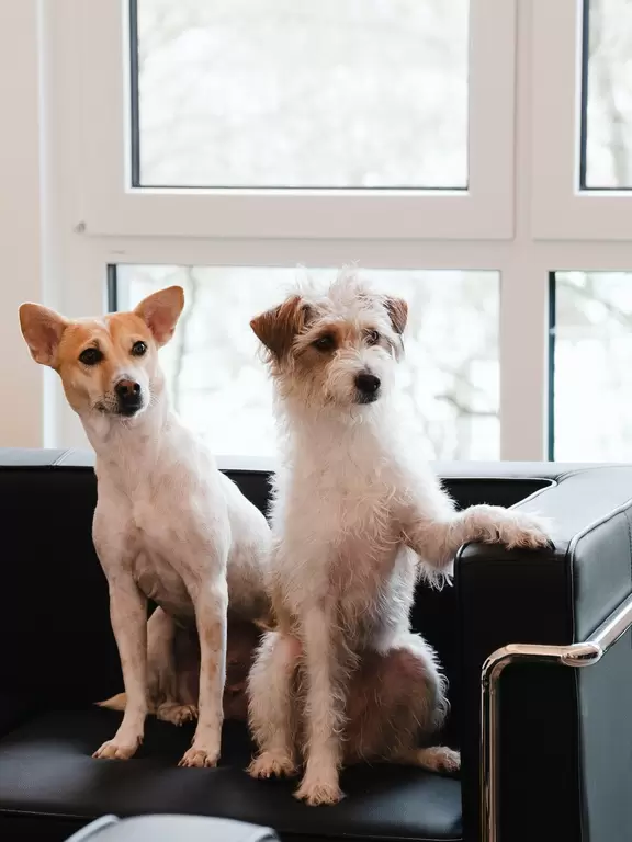 Linda und Liesel