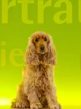 Nelly Theiß