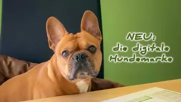 Mehr Sicherheit für Ihren Vierbeiner