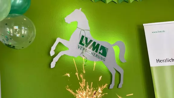 Die LVM Versicherung