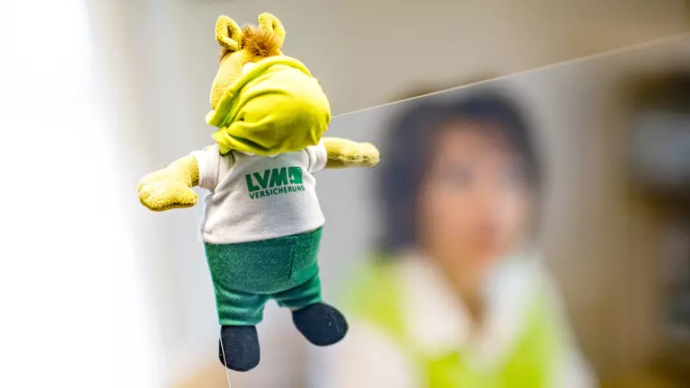 Ich kümmere mich: LVM-Versicherungsagentur Roger Westenhöfer