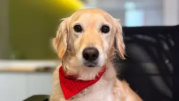 Unsere neue Wohlfühlmanagerin 