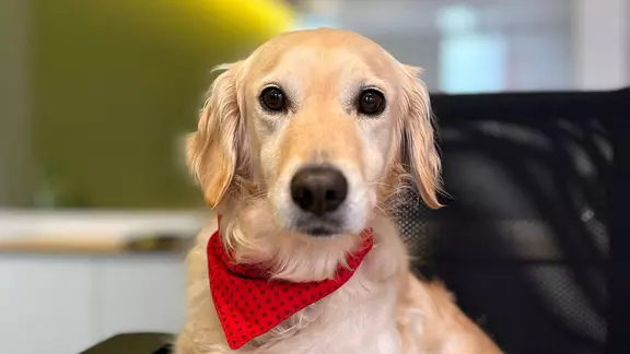 Unsere neue Wohlfühlmanagerin 