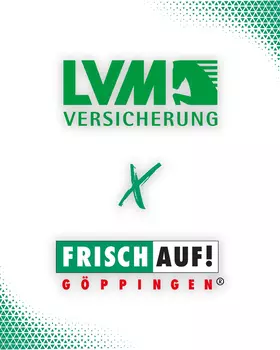 1. Handball Bundesliga Herren
