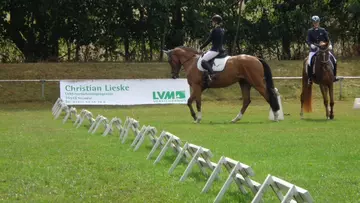 Wir fördern den Nachwuchs und ...