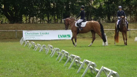 Wir fördern den Nachwuchs und ...