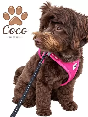 Coco 