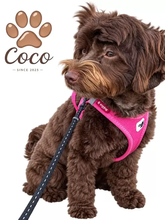 Coco 