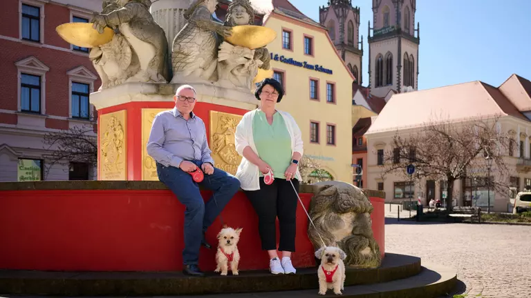 Wir kümmern uns: LVM-Versicherungsagentur Ralph Seiler