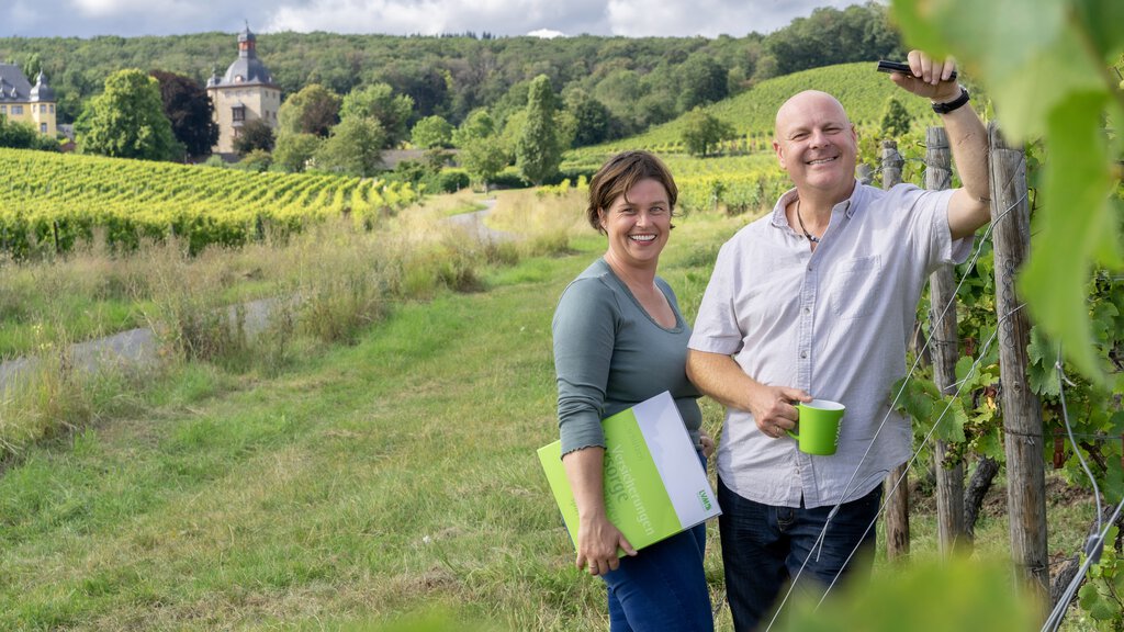 LVM-Versicherungsagentur Andreas Scharf